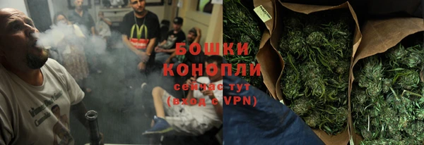 таблы Гусев