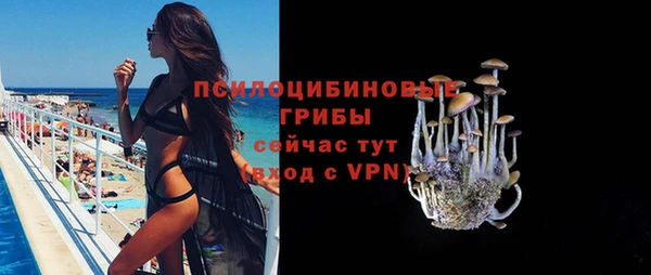 МДПВ Дмитриев