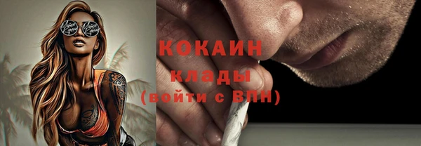 трава Дмитровск