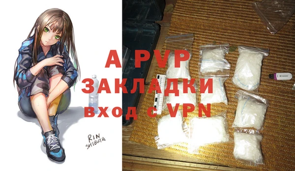 таблы Гусев
