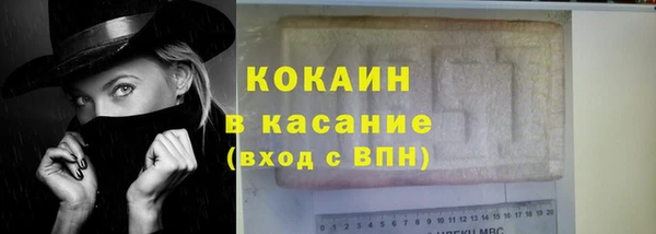 МДПВ Дмитриев