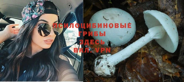 трава Гусь-Хрустальный