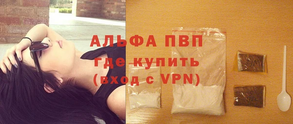 таблы Гусев