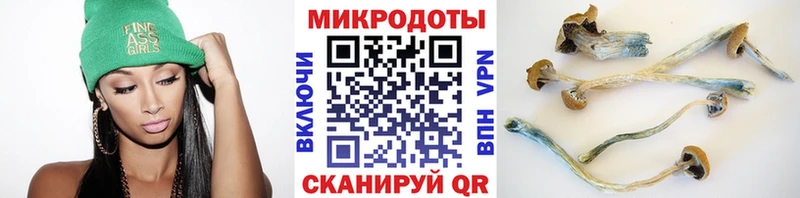 Псилоцибиновые грибы прущие грибы  Жердевка 