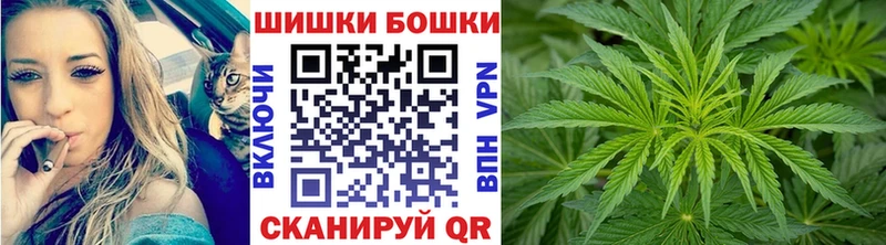 закладка Жердевка Бошки Шишки план